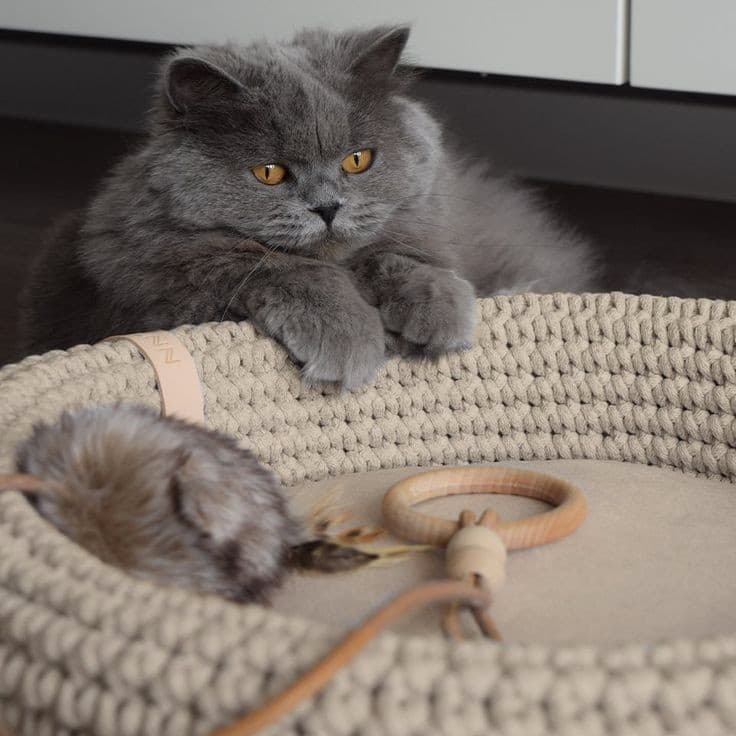 Bring Back the Old Days